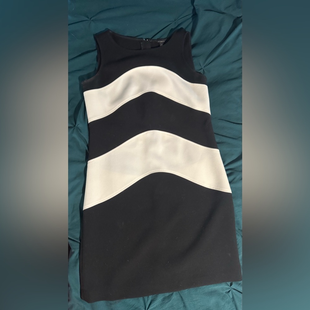 Ann Taylor Black and Cream Wave Panel Mini Dress